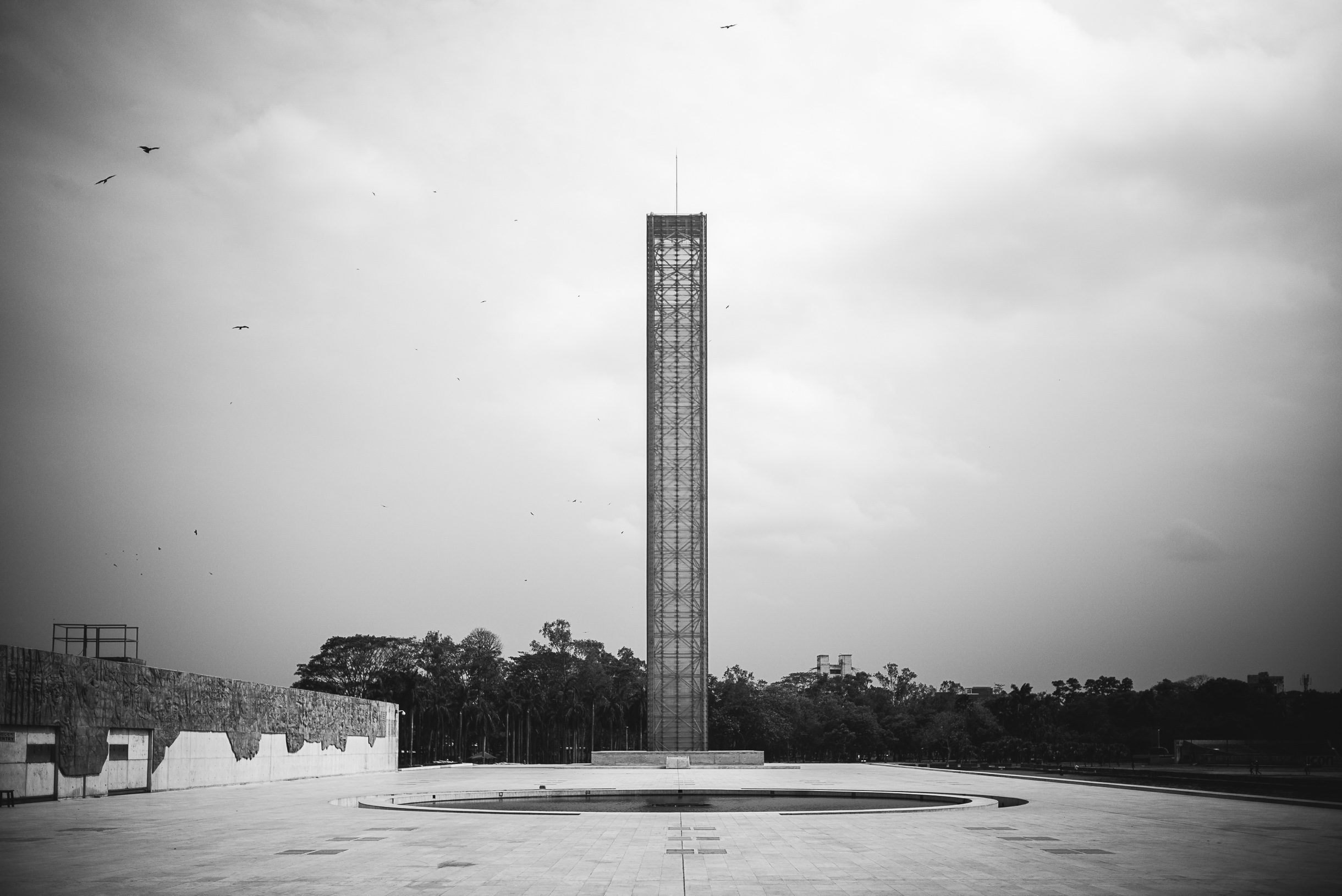 SANDRO-008-L1006685