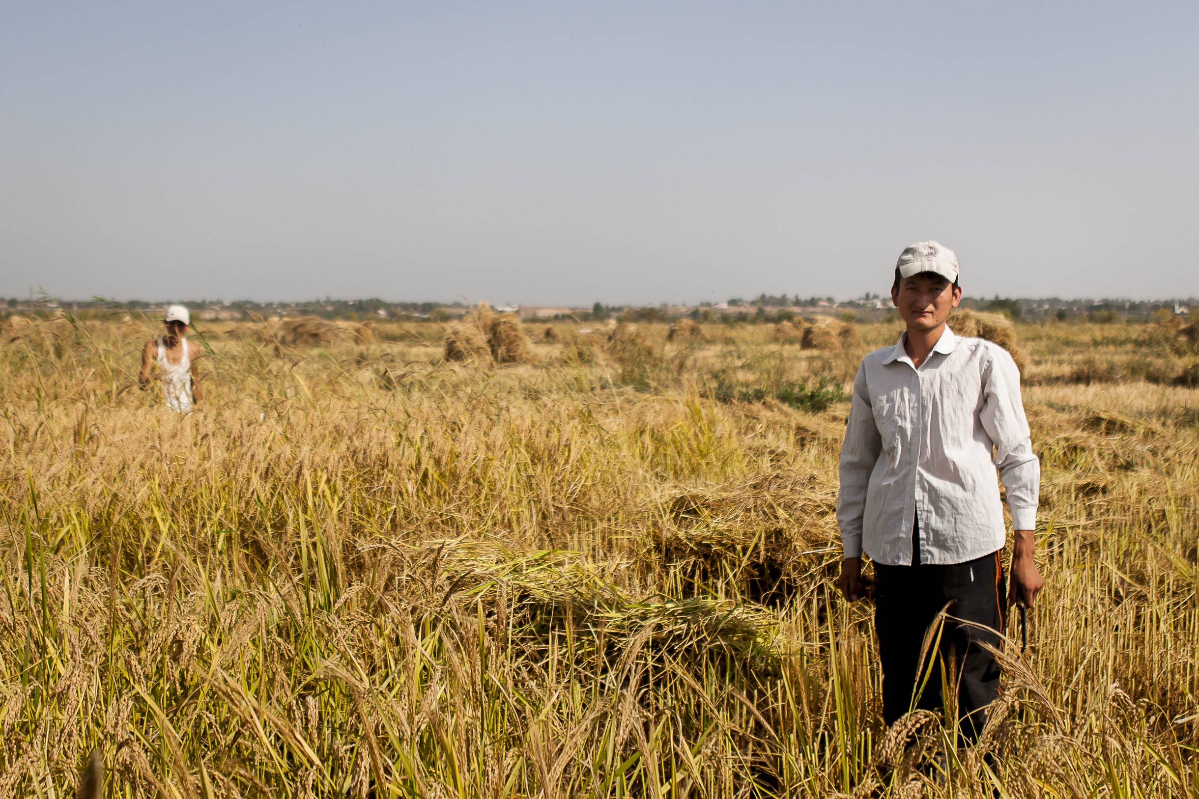 L industrie du riz emploie majoritairement  des jeunes des campagnes.