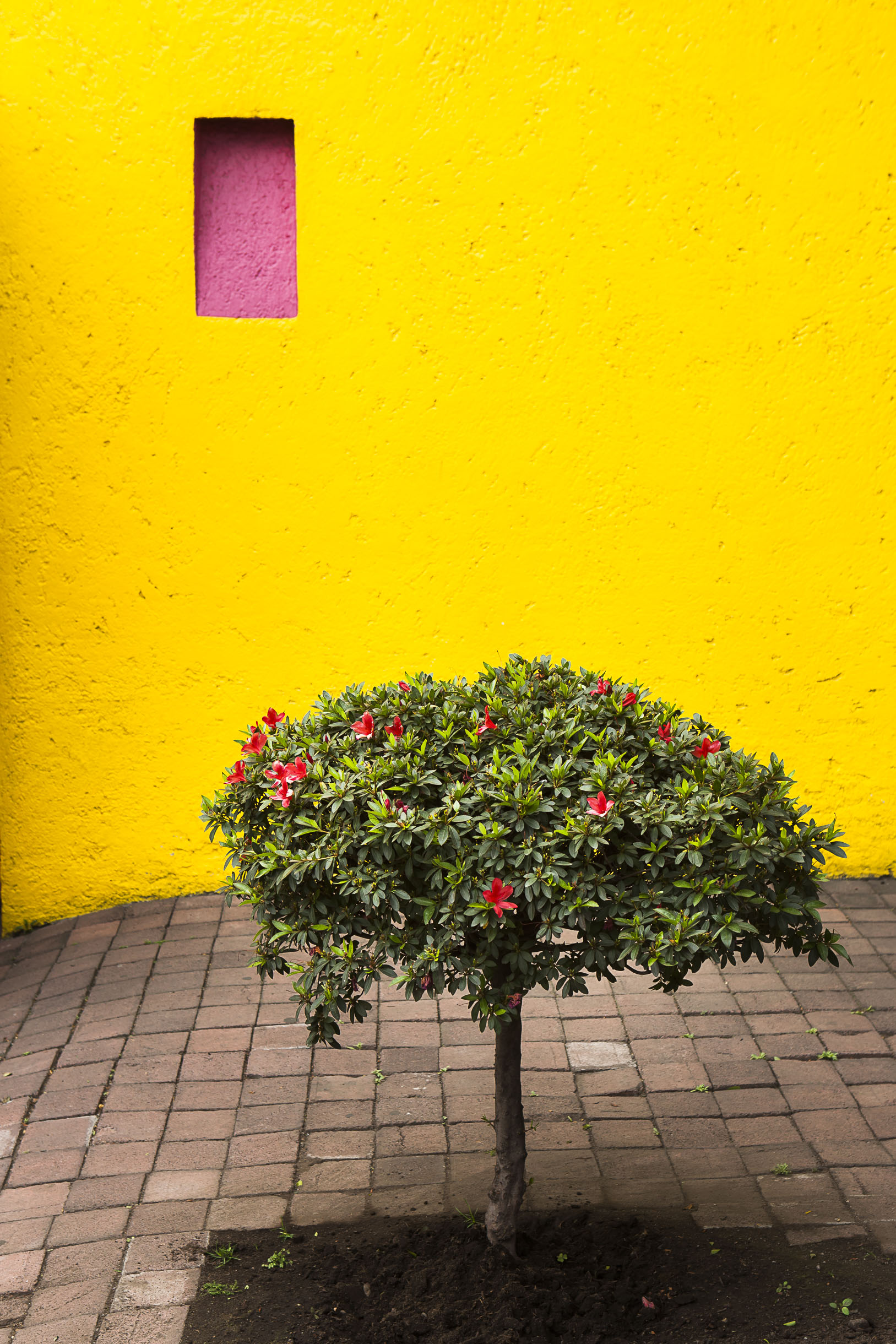 Mexico
